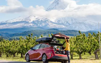 Essential Car Interior Accessories for Long Road Trips